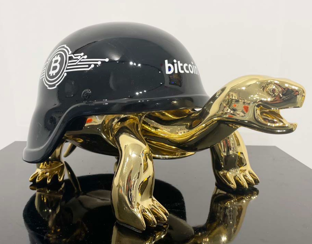 THE BITCOIN TURTLE