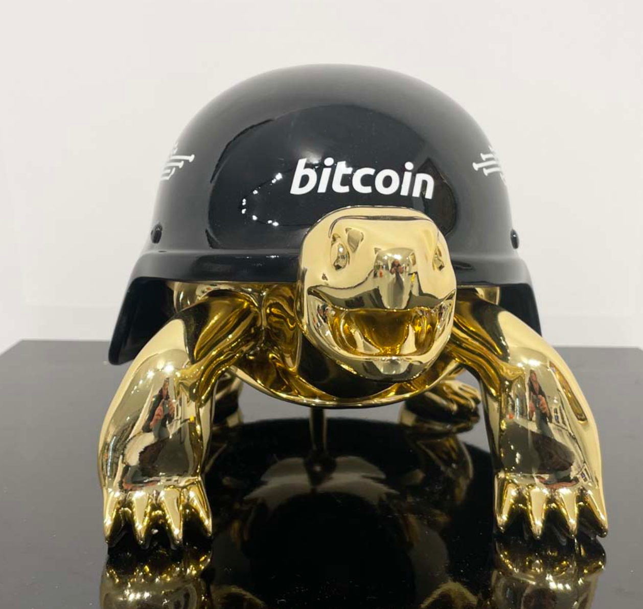 THE BITCOIN TURTLE