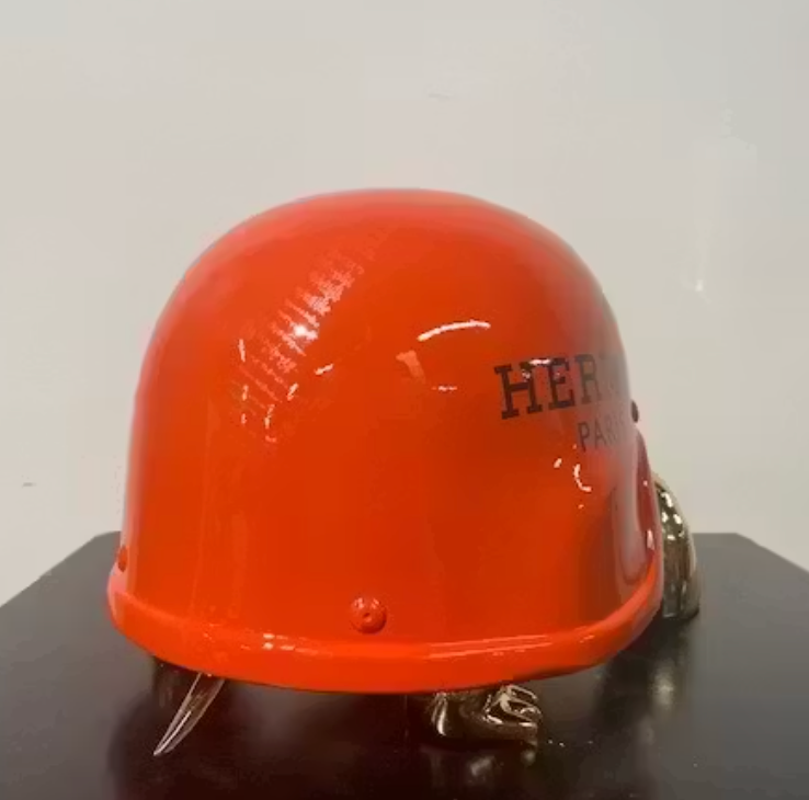THE HERMES TURTLE