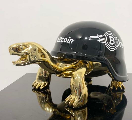 THE BITCOIN TURTLE